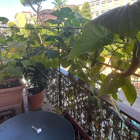 Bed and Breakfast La Fontana Di Carlotta Рим Экстерьер фото