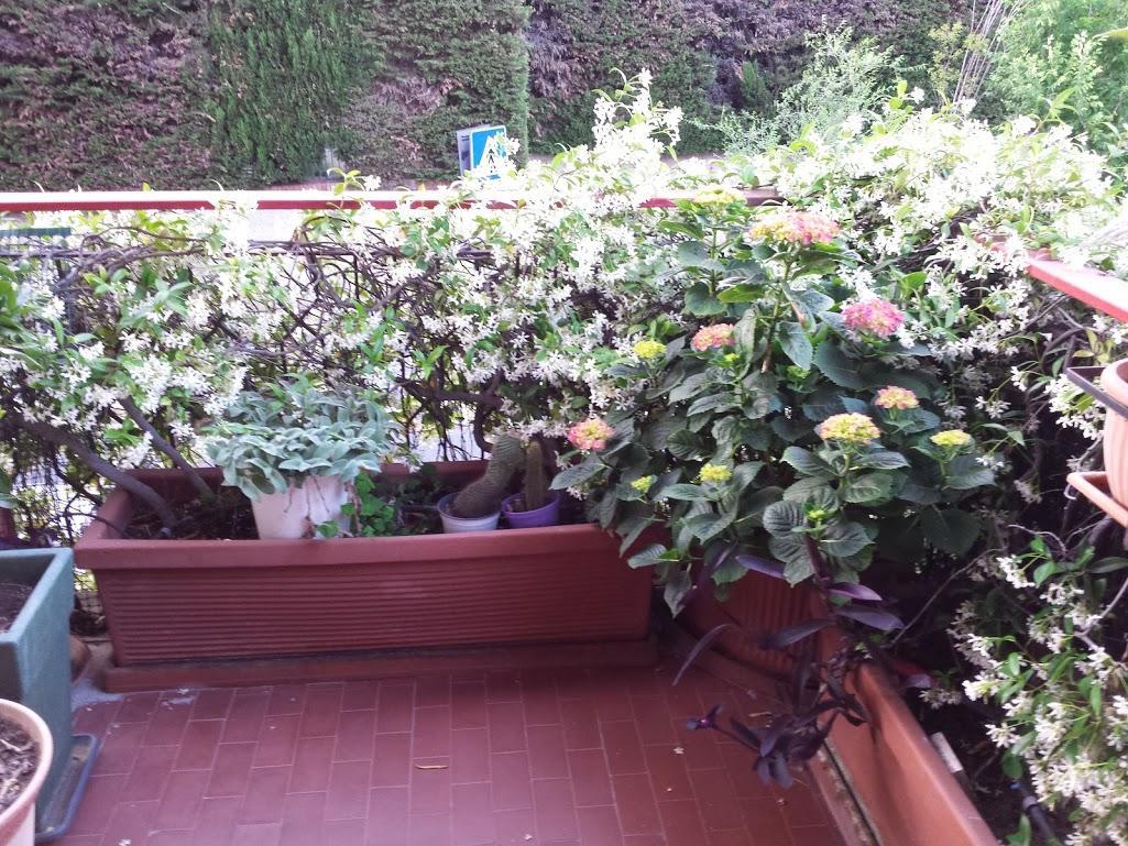 Bed and Breakfast La Fontana Di Carlotta Рим Экстерьер фото